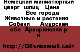 Немецкий миниатюрный(цверг) шпиц › Цена ­ 50 000 - Все города Животные и растения » Собаки   . Амурская обл.,Архаринский р-н